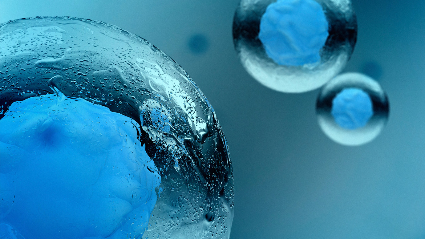 The Positive Results of Stem Cell Transplantation for Spinal Cord Injuries