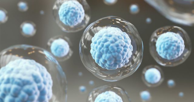 Spinal cord injury cellular therapy